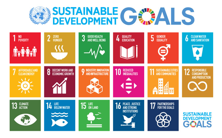 United Nations Sustainable Development Goals