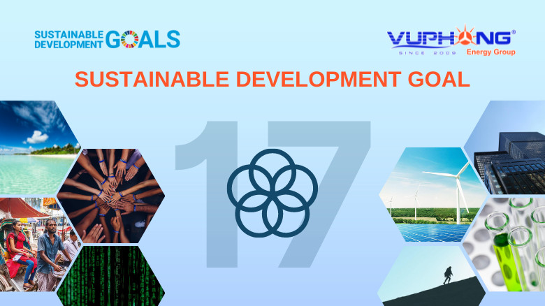 SDG-17-EN