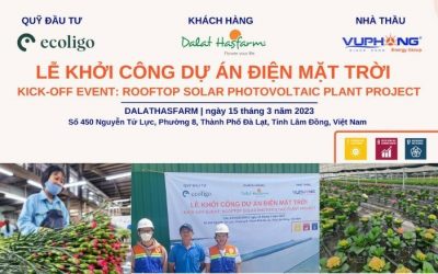 solar-project-at-dalat-hasfram